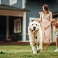 family and pet outside