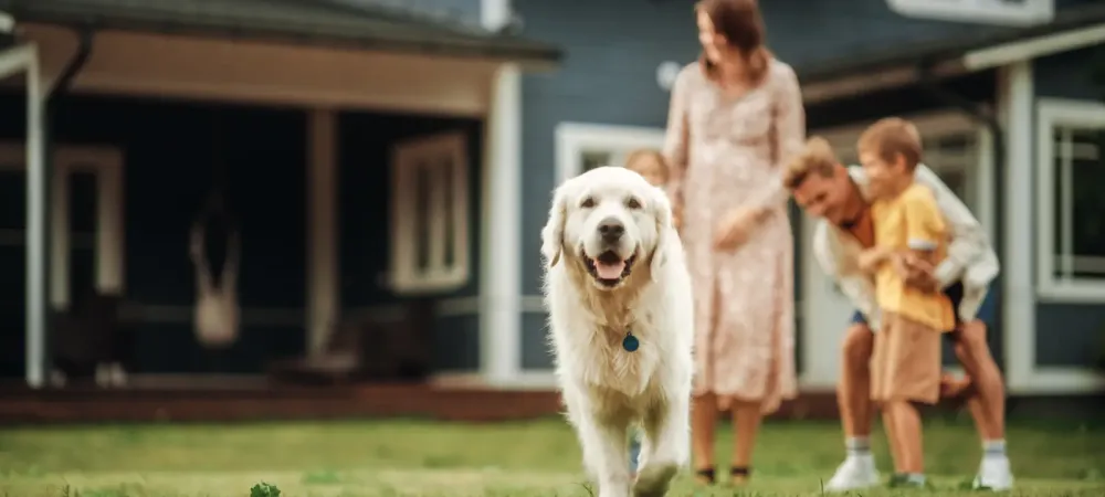 family and pet outside